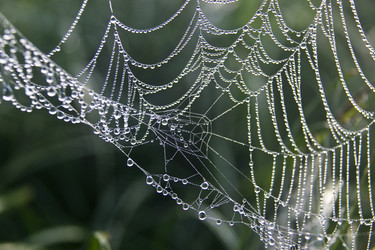 Similar image 13316696