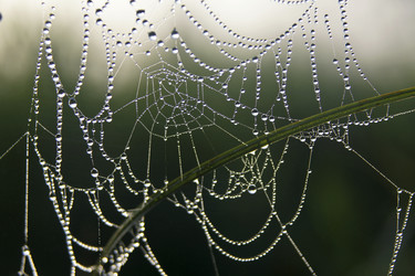 Similar image 13316700