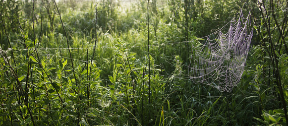 Similar image 13316703