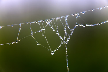 Similar image 13316712