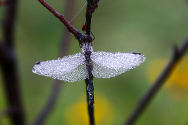 Similar image 13316589