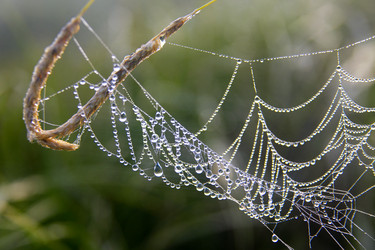 Similar image 13316590