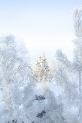 Similar image 13308584