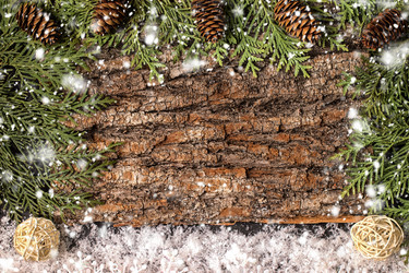 Similar image 13315647