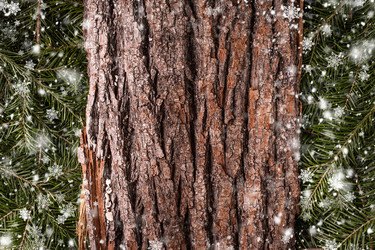 Similar image 13315670