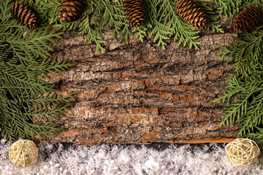 Similar image 13315677