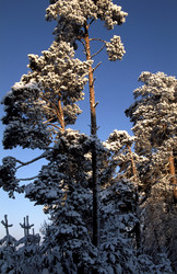 Similar image 13316675