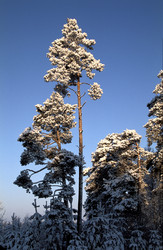 Similar image 13316676