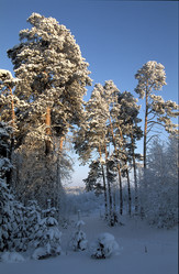 Similar image 13316677