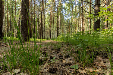 Similar image 13309181