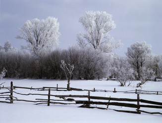 Similar image 13316620