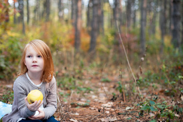 Similar image 13310356