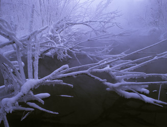 Similar image 13316631