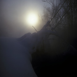 Similar image 13316633