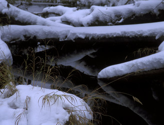 Similar image 13316662