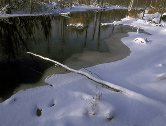 Similar image 13316682