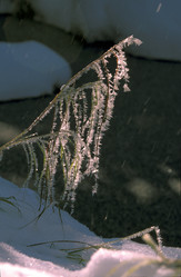 Similar image 13316739