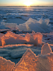 Similar image 13316720