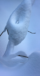 Similar image 13316593