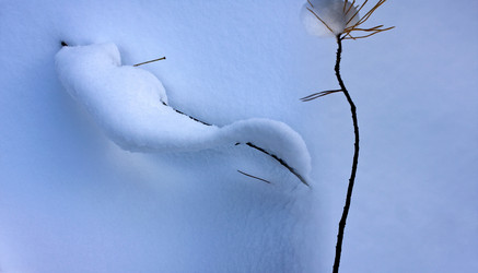 Similar image 13316596