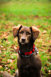 Similar image 13308875