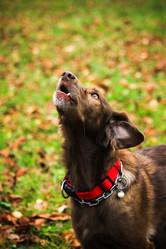 Similar image 13308884