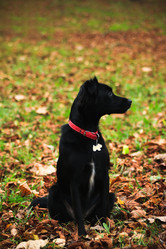 Similar image 13308885