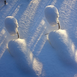 Similar image 13316650