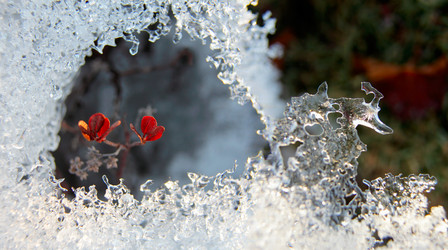 Similar image 13316651