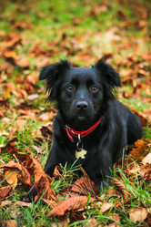 Similar image 13308887