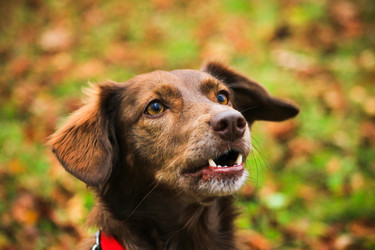 Similar image 13308888