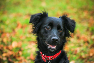 Similar image 13308889