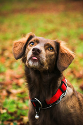 Similar image 13308891