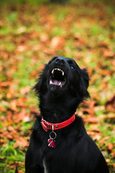 Similar image 13308892