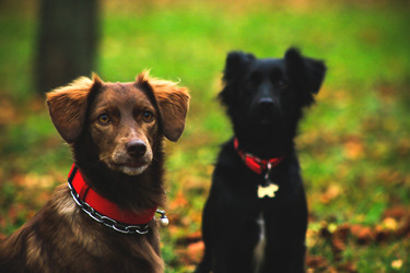 Similar image 13308894