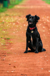 Similar image 13308900