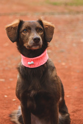 Similar image 13308876