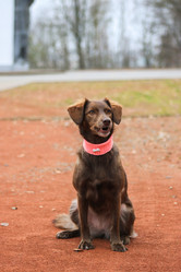 Similar image 13308877