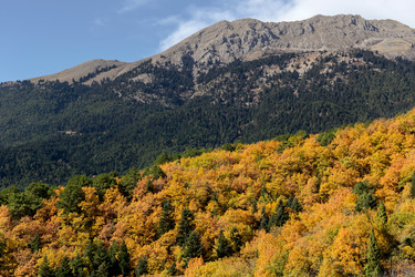 Similar image 13322594