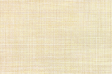 Similar image 13317161