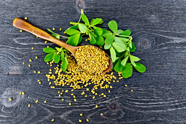 Similar image 13316914