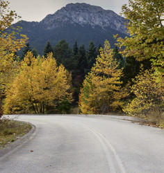 Similar image 13310592