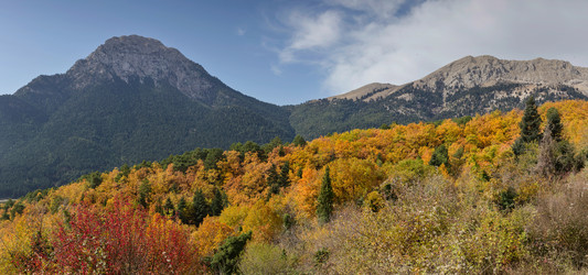 Similar image 13322584