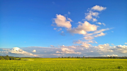 Similar image 13310340