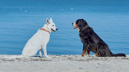 Similar image 13308823