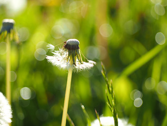 Similar image 13308820