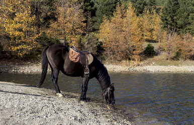 Similar image 13310594