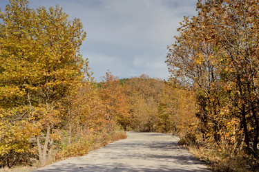 Similar image 13310286