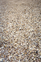 Similar image 13308843