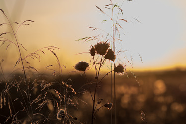 Similar image 13308831